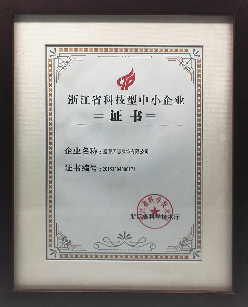 浙江科技型中小企业证书