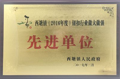 2017先进单位